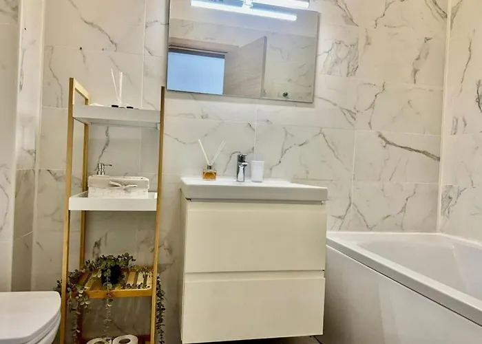 Sasha Collection By Alezzinord10